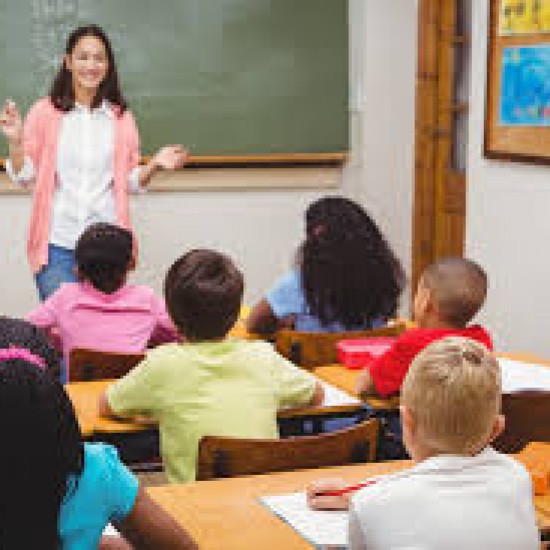 Curs educator specializat